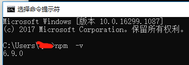 NPM 版本验证